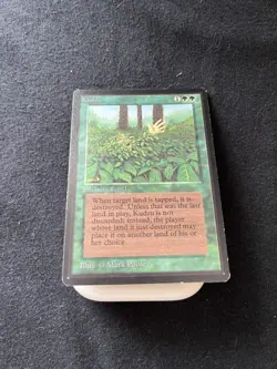Magic the Gathering Kudzo Beta NM to LP - Image 4