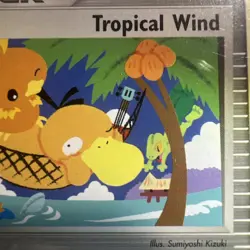 🔥Pokemon Tropical Wind World Championship 2004 Promo 026 PSA 9 MINT - Image 4