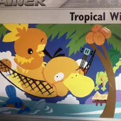 🔥Pokemon Tropical Wind World Championship 2004 Promo 026 PSA 9 MINT - Image 5