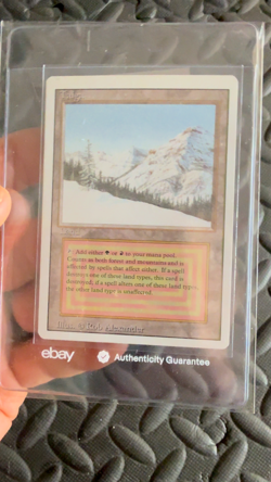 Magic: The Gathering Taiga (revised edition) Dual Land - Image 2