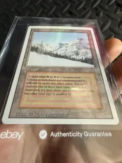 Magic: The Gathering Taiga (revised edition) Dual Land - Image 4