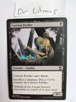 1x Carrion Feeder Eternal Masters Zombie MTG Great Condition - Image 1
