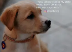 PSA 10 Charizard G LV.X 002/016 Japanese Half Deck Pokemon TCG - Image 3