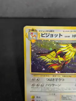 Pokemon TCG Pidgeot Holo Rare Jungle Japanese Old Back - HP - Image 3