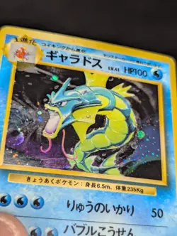 Pokemon TCG Gyarados Base Set Holo Rare Japanese Old Back - MP - Image 3