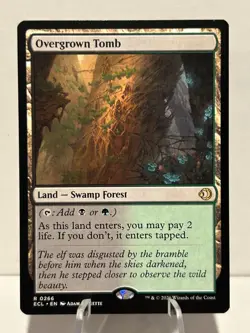 Overgrown Tomb 266 R Lorwyn Eclipsed NM MTG - Image 1