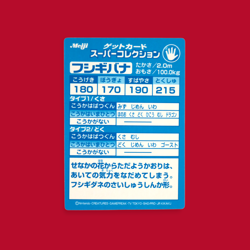 VENUSAUR (FUSHIGIDANA)--JAPANESE MEIJI EMBOSSED PROMO FOIL POKEMON CARD - Image 2