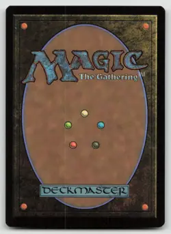 MTG Plains (0287) L The Lost Caverns of Ixalan 287 LP - Image 2