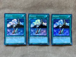 3 Salvage ~ Super ~ LCYW-EN276 - Image 1