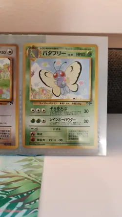 🌸 Pokemon Southern Rainbow Island Field of Flowers Japanese Promo 1999 Sealed🌸 - Image 5