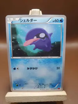 HP Pokemon Shellder 016/060 Collection Y XY1 Japanese - Image 1