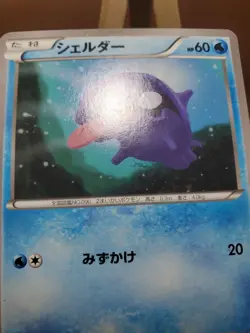 HP Pokemon Shellder 016/060 Collection Y XY1 Japanese - Image 4