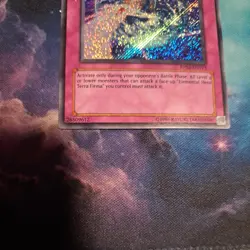 Yugioh Terra Firma Gravity Unlimited Edition Secret Rare PP02-EN013 LP - Image 4