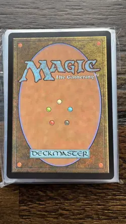 MTG: Hedge Maze Borderless Regular Murders of Karlov Manor 326 -NM - Image 2