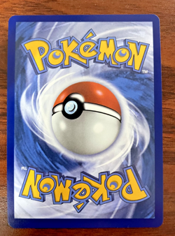 Pokemon card - Shuckle #136 - Mega Evolution 2025 - Holo Illustration Rare - Image 2