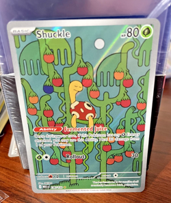 Pokemon card - Shuckle #136 - Mega Evolution 2025 - Holo Illustration Rare - Image 3