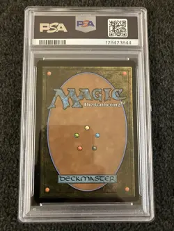 Magic MTG - Mountain (0265) (Borderless) Foil - Graded PSA 9 Mint - EOE - Image 2