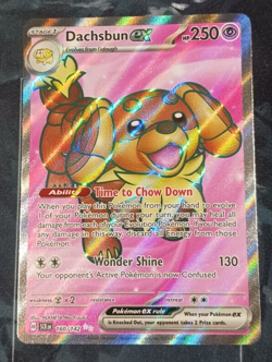 Dachsbun ex 160/142 Sv07: Stellar Crown Holo Near Mint Pokemon TCG - Image 1
