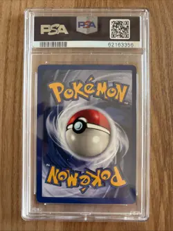 Pokemon TCG Squirtle Base Set Shadowless - PSA 8 - Near Mint - Image 2