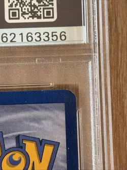 Pokemon TCG Squirtle Base Set Shadowless - PSA 8 - Near Mint - Image 3