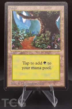 Forest (B): 1993 Magic the Gathering - Limited Edition Beta Regular - Image 1