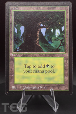 Forest (C): 1993 Magic the Gathering - Limited Edition Beta Regular - Image 1