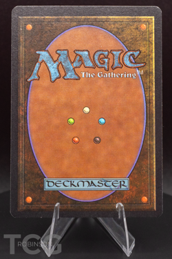 Forest (C): 1993 Magic the Gathering - Limited Edition Beta Regular - Image 2