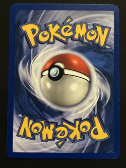 Misty's Seel 1st Edition Gym Heroes 88/132 Pokemon 2000 NM - Image 2