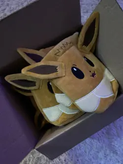 Pokemon LOT Eevolutions Eevee/Sleeves/Figures/Pin/Pouch BOX - Image 1