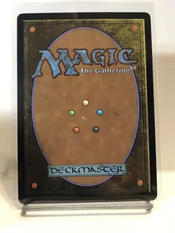 Dawn's Truce (Foil) [Showcase] Bloomburrow 0295 Rare MTG - Image 2