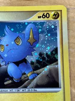 Shinx DP15 Swirl Holo Black Star Promo Inverted Back Error Pokemon TCG Card - Image 3