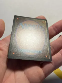 Magic The Gathering MTG - Seasoned Dungeoneer - Battle for Baldur's Gate - Image 4