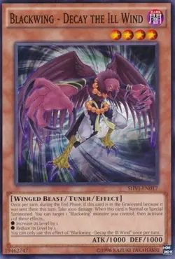 Blackwing - Decay the Ill Wind - SHVI-EN017 - Common - Unlimited Edition - Moder - Image 1