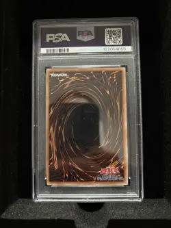 2025 YuGiOh JP004 Dark Magician Girl The Magician's Apprentice Secret Rare PSA 8 - Image 2