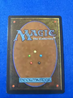 SUNASTIAN FALCONER LP+ Legends vintage mtg Magic fast shipping - Image 2