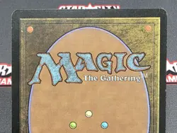 MTG Sterling Grove - Invasion Magic the Gathering Card # 278 - Image 5