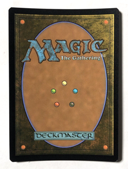 Suki, Kyoshi Warrior FOIL 243 Avatar The Last Airbender MTG Magic the Gathering - Image 2