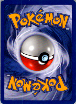 Pokemon Card Zapdos #23 WoTC Promo Black Star - Image 2