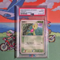 Pokemon 2003 Japanese Magma vs Aqua Treecko Grovyle Sceptile EX PSA Lot - Image 3