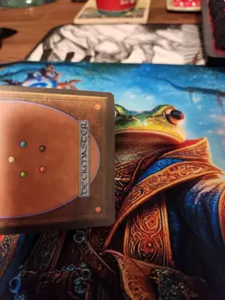 MTG Storm Cauldron - Alliances Regular - Signed By Artist, MP - Image 3