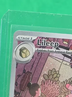 Lileep Holofoil 145/142 Stellar Crown Illustration Rare Pokemon Card NEAR MINT N - Image 2