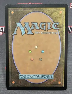 MTG JAPANESE Faerie Macabre- Signed -Shadowmoor Magic the Gathering Card # 066 - Image 2