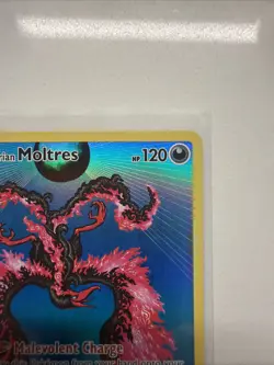 Pokemon Galarian Moltres SWSH284 Sword & Shield Promo Holo Card - Image 3