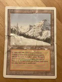 MTG - Taiga - Revised Heavily Damaged - Image 1