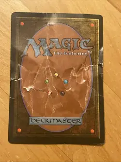 MTG - Taiga - Revised Heavily Damaged - Image 2