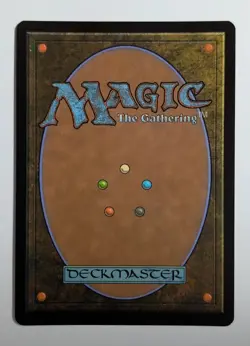 Forest (0892) (Rainbow FOIL) | NM Near Mint | SLD Secret Lair Magic MTG - Image 2