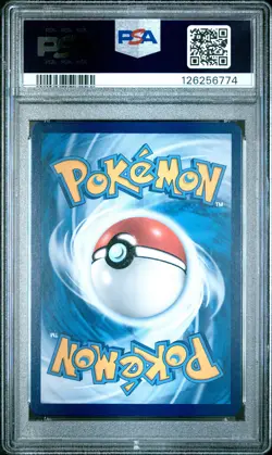 2024 POKEMON SIMPLIFIED CHINESE CSG C-CARD DISPLAY GIFT BOX #007 EEVEE PSA 10 - Image 2