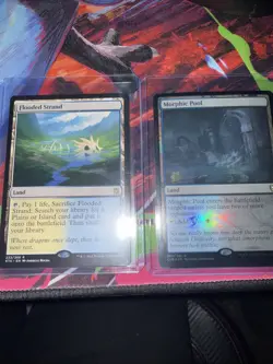 flooded strand and morphic pool - Image 1