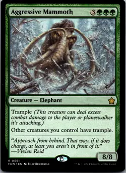 Aggressive Mammoth R Foundations 551 NM - Image 1