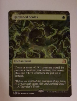 Hardened Scales Enchanting Tales NM MTG Wilds of Eldraine Magic the Gathering - Image 1